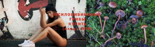 таблы Алзамай
