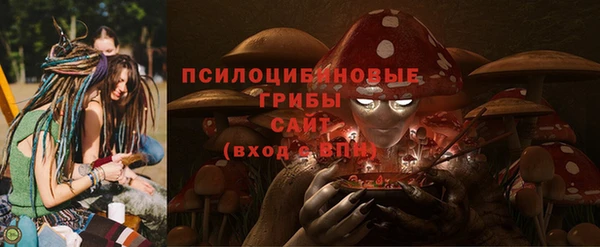 мяу мяу мука Алексин