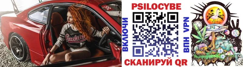 Галлюциногенные грибы Psilocybine cubensis  Болгар 